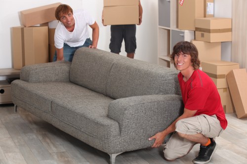 Vehicle options for a removal job